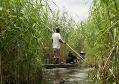 Safari-Reisen in Botswana zwischen Delta, Savanne und Salzpfannen