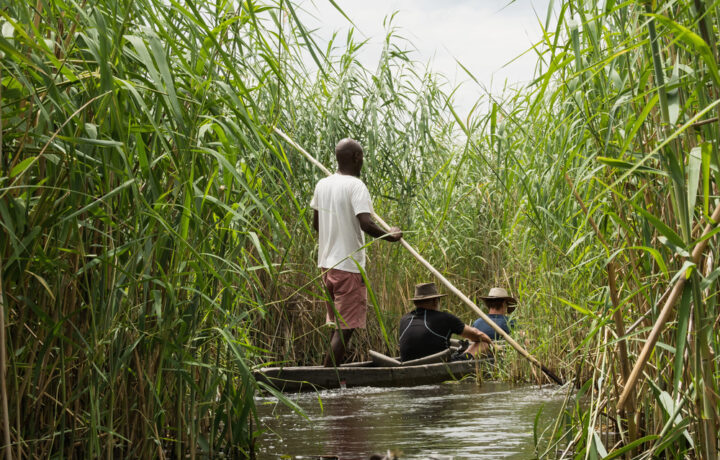 Safari-Reisen in Botswana zwischen Delta, Savanne und Salzpfannen