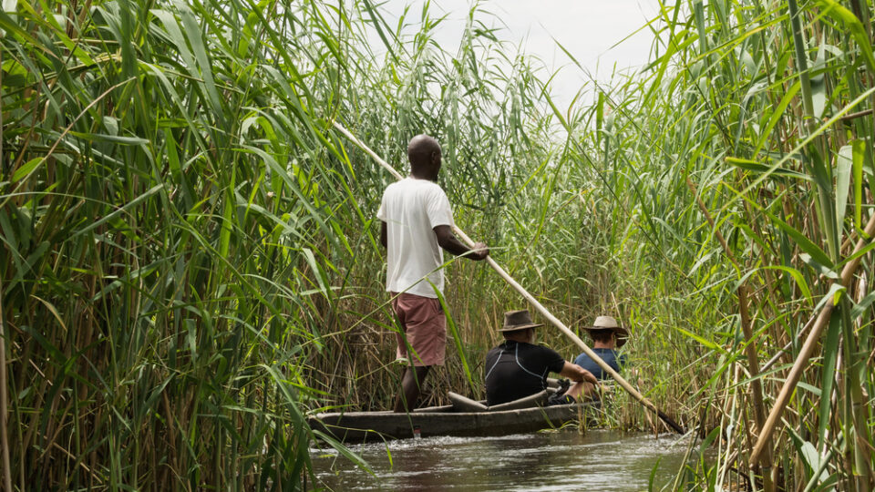 Safari-Reisen in Botswana zwischen Delta, Savanne und Salzpfannen