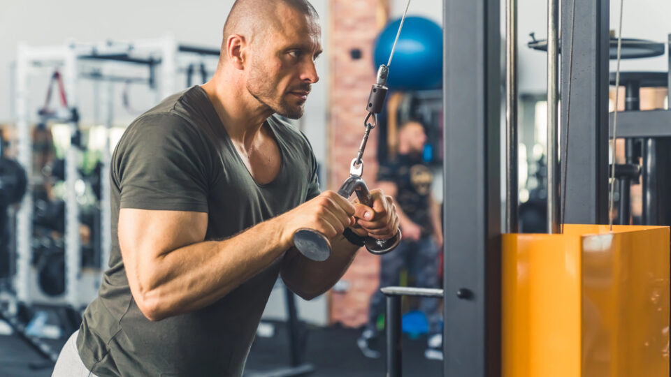 Rückentraining: Rücken gezielt und sicher kräftigen